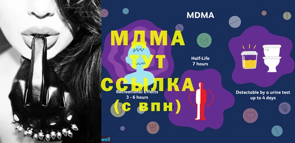 эйфоретик Няндома