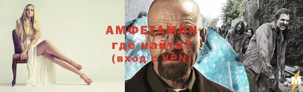 сатива Новодвинск