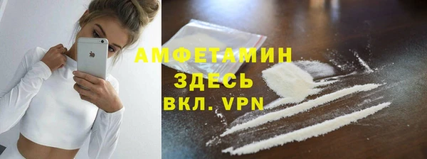 эйфоретик Няндома