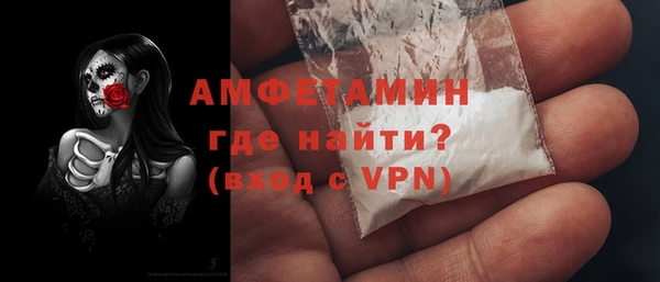 эйфоретик Няндома