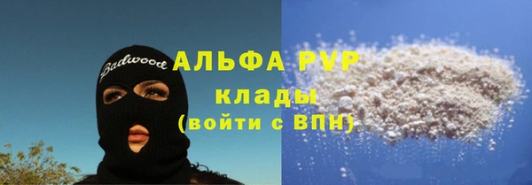 эйфоретик Няндома