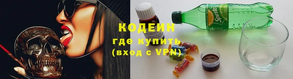 эйфоретик Няндома