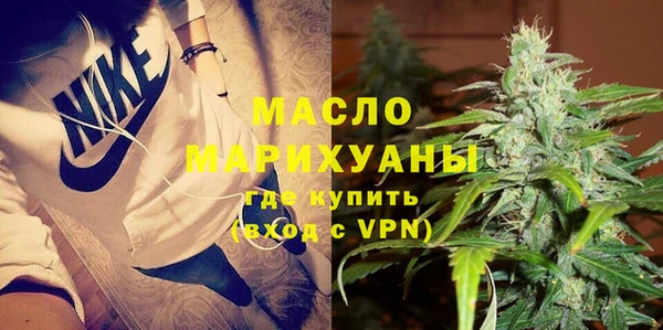 эйфоретик Няндома