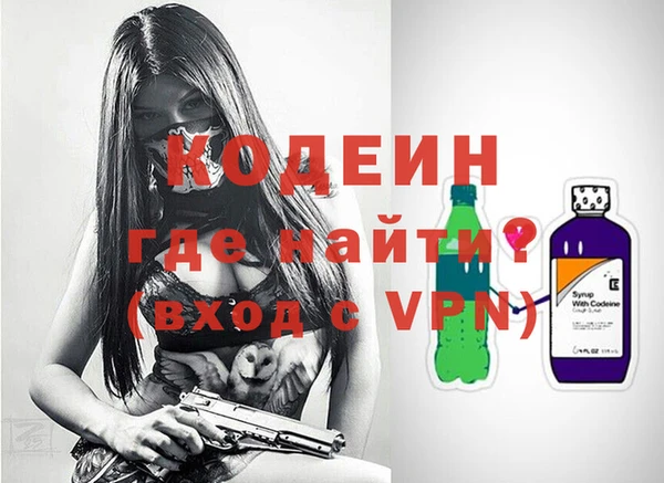 эйфоретик Няндома