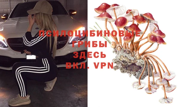 эйфоретик Няндома