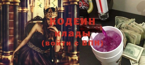 эйфоретик Няндома