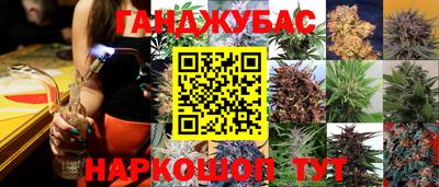 ПСИЛОЦИБИНОВЫЕ ГРИБЫ Гай