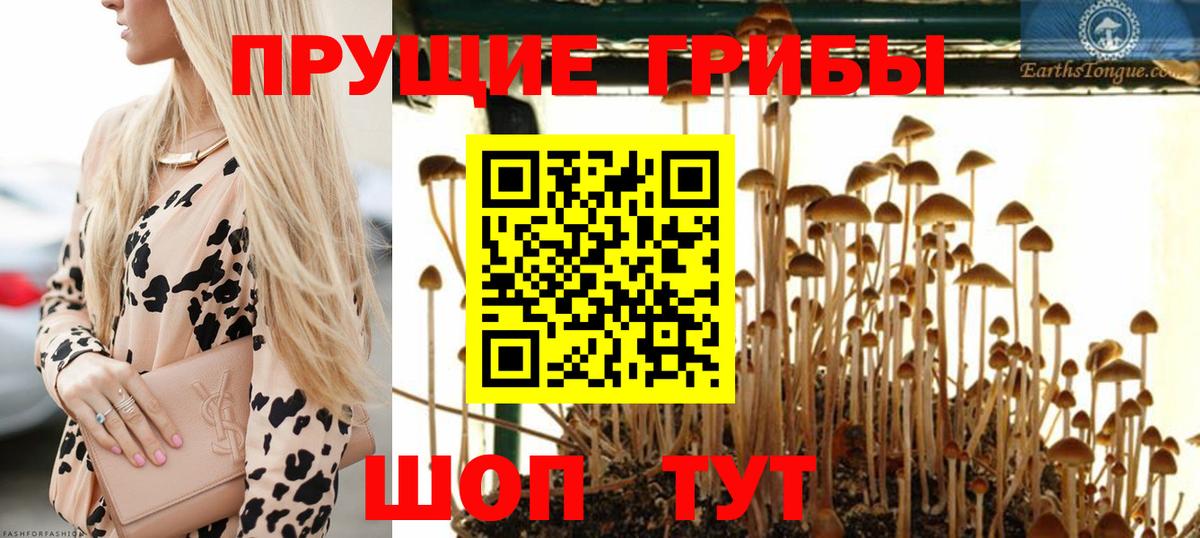 Псилоцибиновые грибы мухоморы Красный Сулин