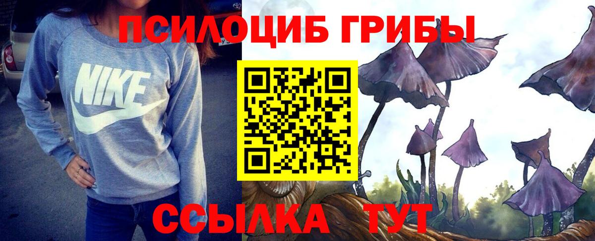 Галлюциногенные грибы прущие грибы Красный Сулин