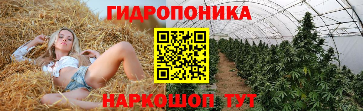 Шишки марихуана планчик  Бошки Шишки THC 21%  Вход с VPN  Конопля сатива  Красный Сулин  Каннабис AK-47 